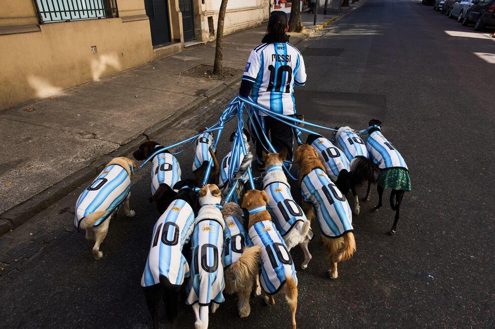 Nahuel Meneghini, paseador de perros, camina con los perros vestidos con camisetas de la...